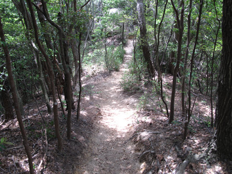 20140602hike (213)